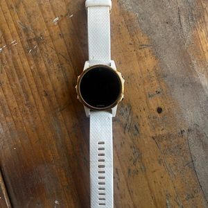 Garmin Fenix 5S